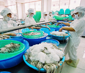 EU  kiểm tra chất lượng thuỷ sản Việt Nam